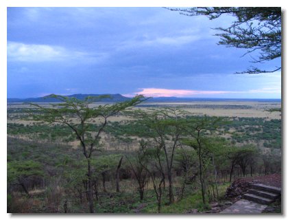 TA 32 - Serena View of Serengeti